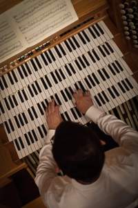 DominicPerissinotto-184-Edit